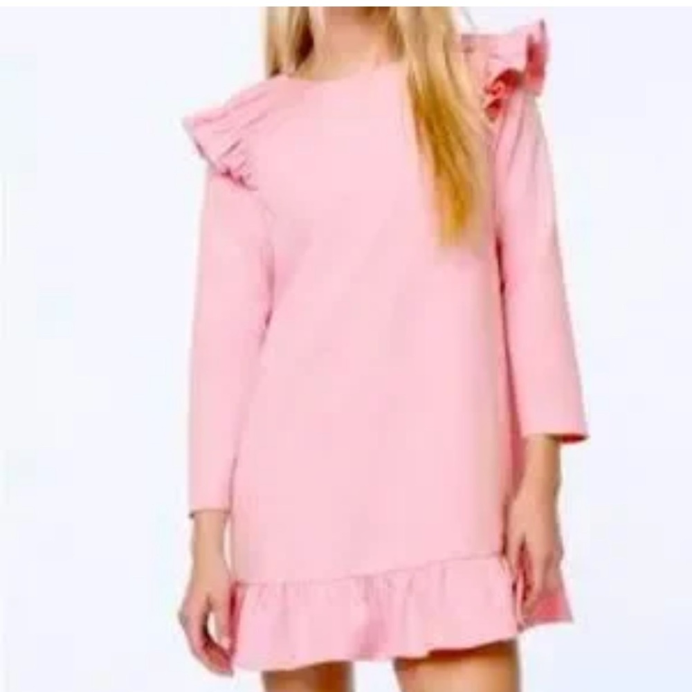 ZARA Blush Pink Ruffled Shoulder Mini Dress NWOT